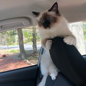 Meet your Posher, Marianna